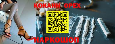 apvp Канаш