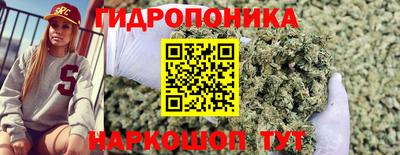 MESCALINE Камышлов