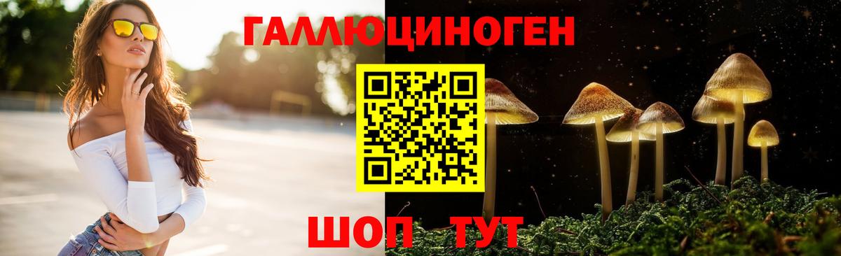 Галлюциногенные грибы GOLDEN TEACHER  где продают   Кубинка  Вход с VPN 